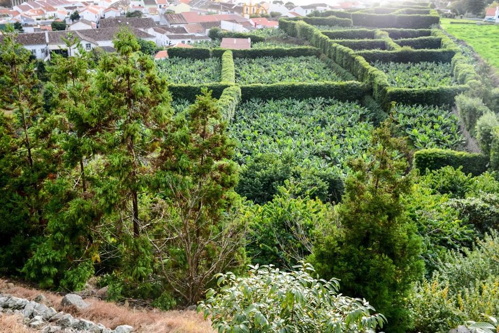 Quinta Amaro Al Hotell Angra do Heroísmo Eksteriør bilde